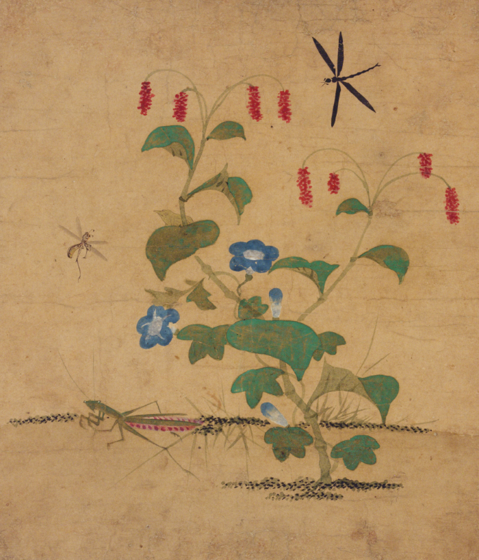 Shin Saimdang, Insects and Plants (Cho-chung-do), Joseon_period_first_half_16th_century, ink_and_color_on_paper, 32.2x28.5cm — Collection of the National Museum of Korea, stage_1_original_input, structural_source_for:SSR2016