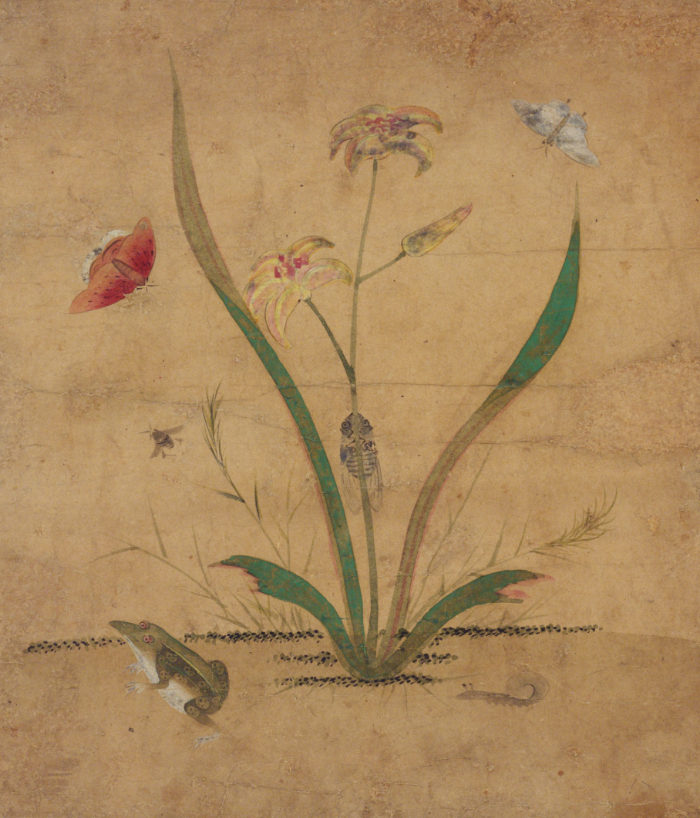 Shin Saimdang, Insects and Plants (Cho-chung-do), Joseon_period_first_half_16th_century, ink_and_color_on_paper, 32.2x28.5cm — Collection of the National Museum of Korea, stage_1_original_input, structural_source_for:SSR2016