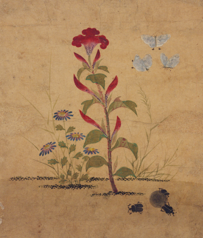 Shin Saimdang, Insects and Plants (Cho-chung-do), Joseon_period_first_half_16th_century, ink_and_color_on_paper, 32.2x28.5cm — Collection of the National Museum of Korea, stage_1_original_input, structural_source_for:SSR2016